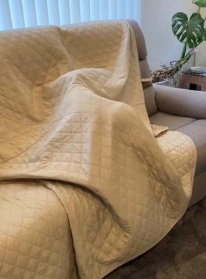 帰宅すると…不自然に膨らんだ”ソファ”に違和感。しかしよく見ると→カバーの下に潜んでいた“犯人”に「懐かしさで笑った」「野生の本能」