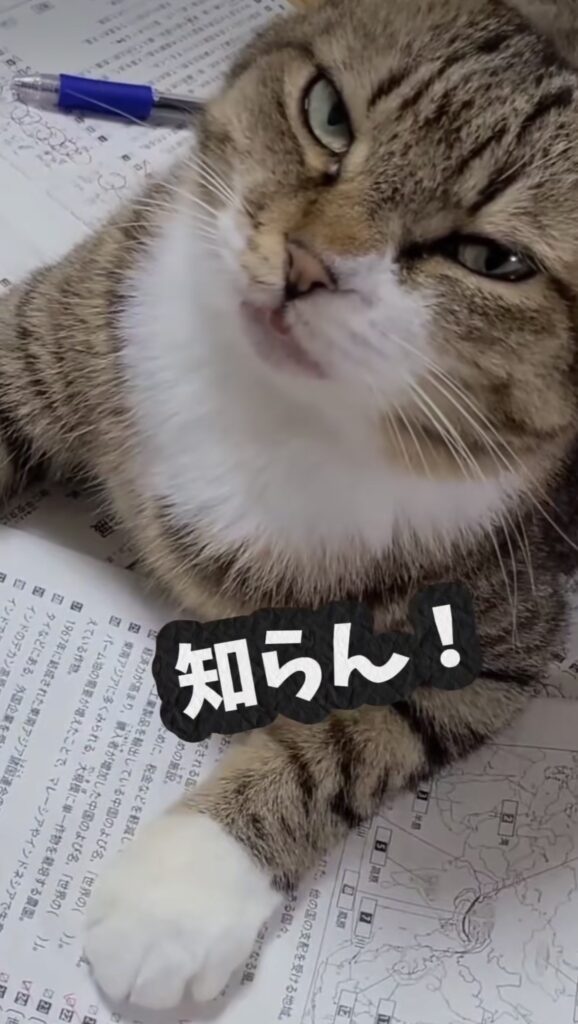 【実際の写真】まさかの光景