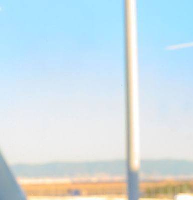 来日した外国人女性。「息を呑んでしまいました」目にしたまさかの光景に「涙がとまりません」「感動」