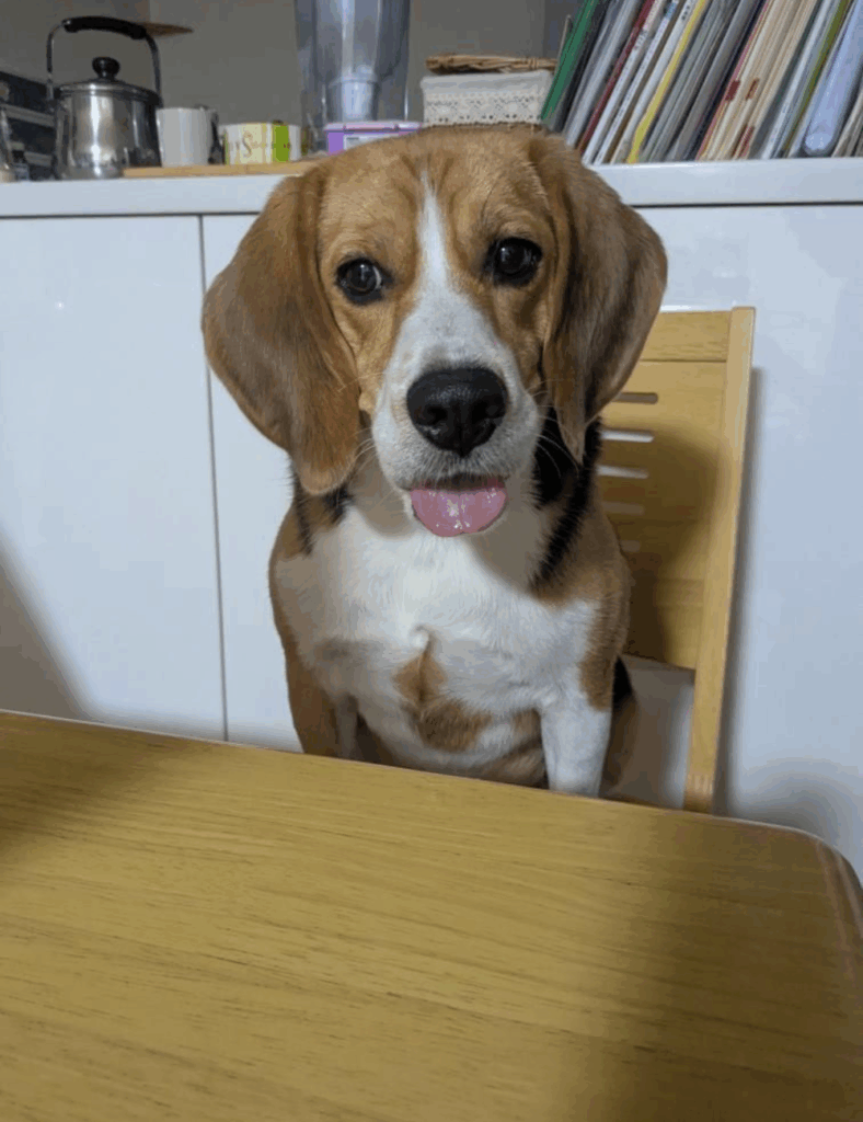 たっぷりの愛情を受けてすくすく育っています！（@aori_fishingさんより提供）