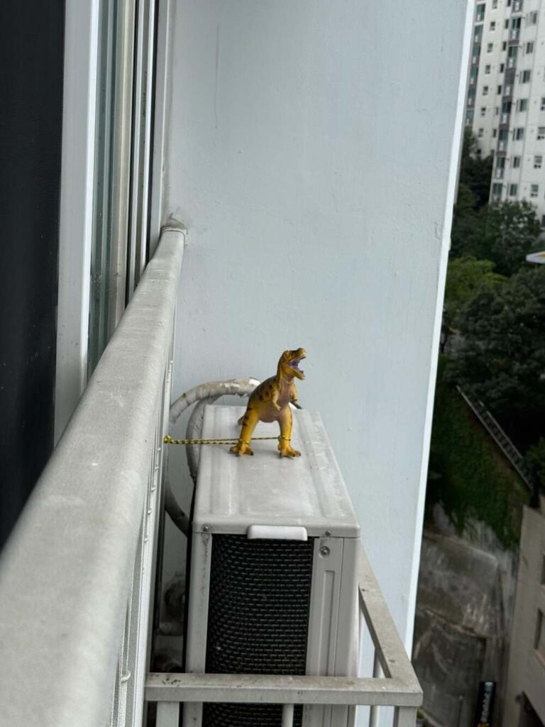 念のため少しずつ向きを変えているそう（@saki.rei.kaiさんより提供）