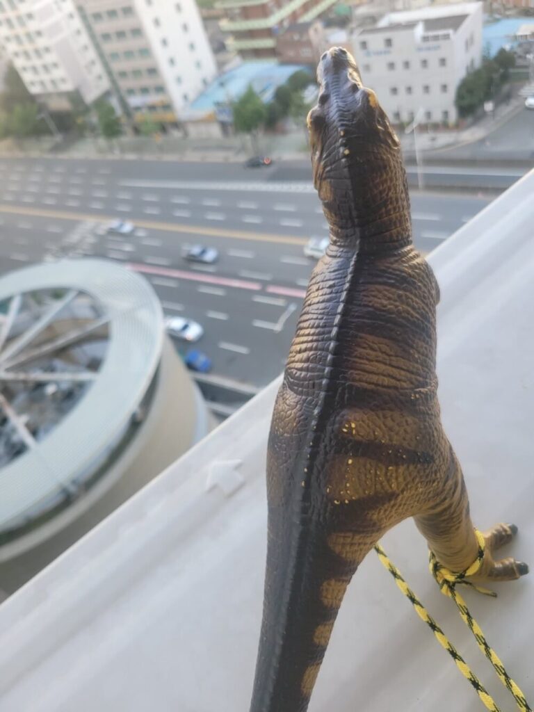 斬新なハト対策（@saki.rei.kaiさんより提供）