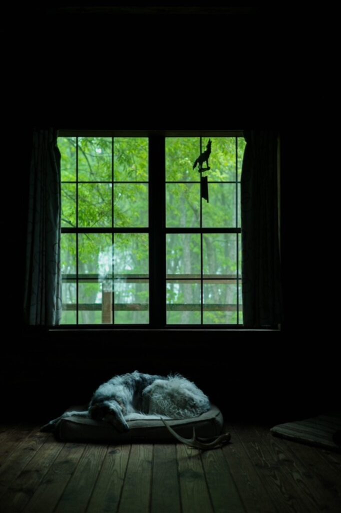 【実際の写真】まさかの光景