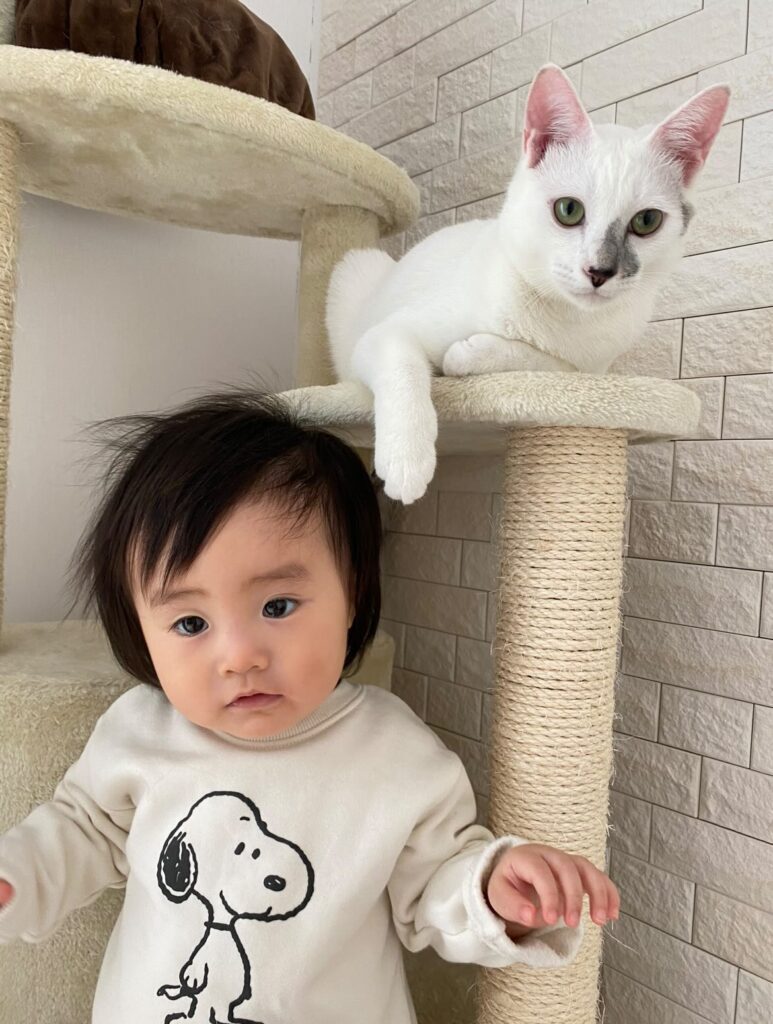 普段の様子①（＠hota_ieさんより提供）