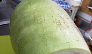 友人からもらった冬瓜。→切って見ると…まさかの中身に驚愕！？「犬と一緒に育った猫のよう、、」「瓜科あるある（笑）」「生命の神秘」