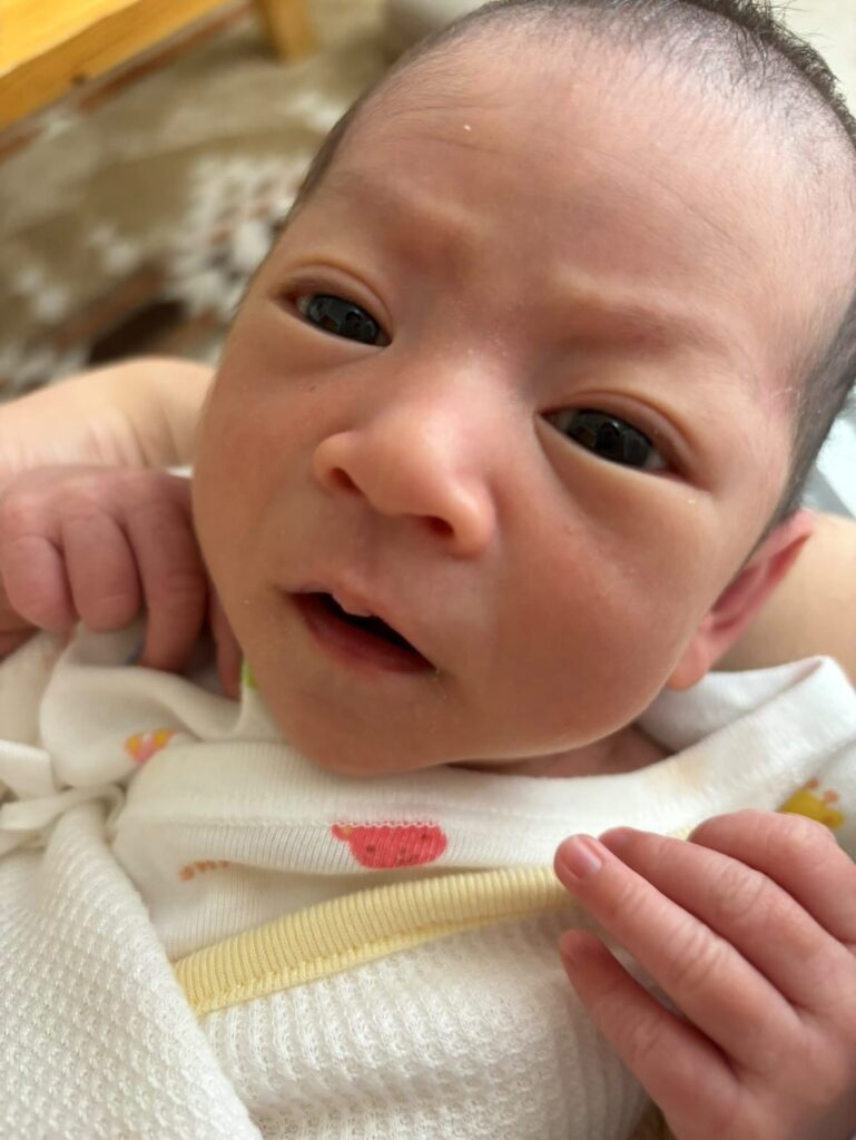 【実際の写真5枚】　現在の様子