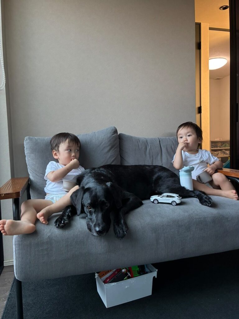 【実際の写真5枚】　ママが見た光景