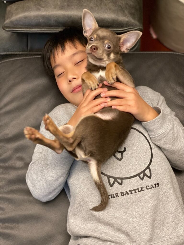 息子さんとロイくん①（＠porcelarts_lachicさんより提供）