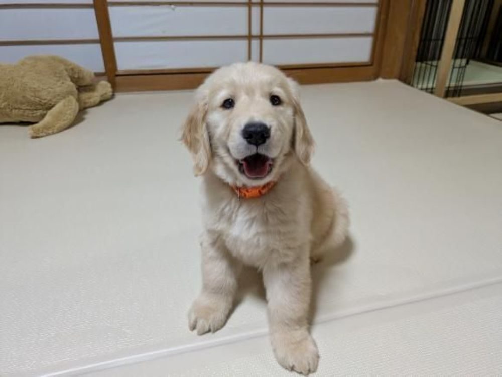 【実際の写真】　現在の様子