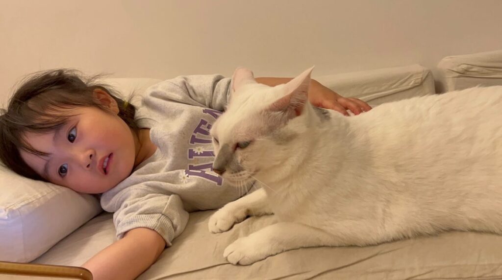 【実際の写真】ママが見た光景