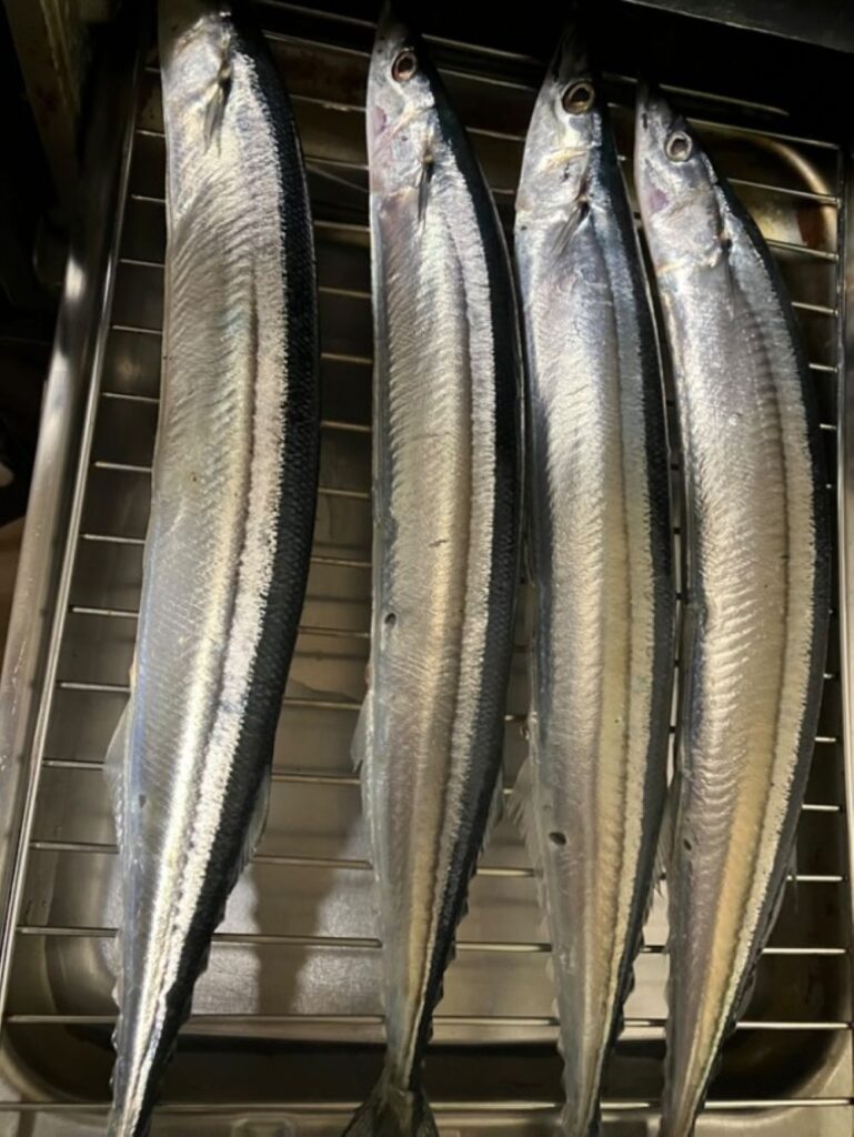 秋刀魚を焼く前（＠nonaka555123さんより提供）