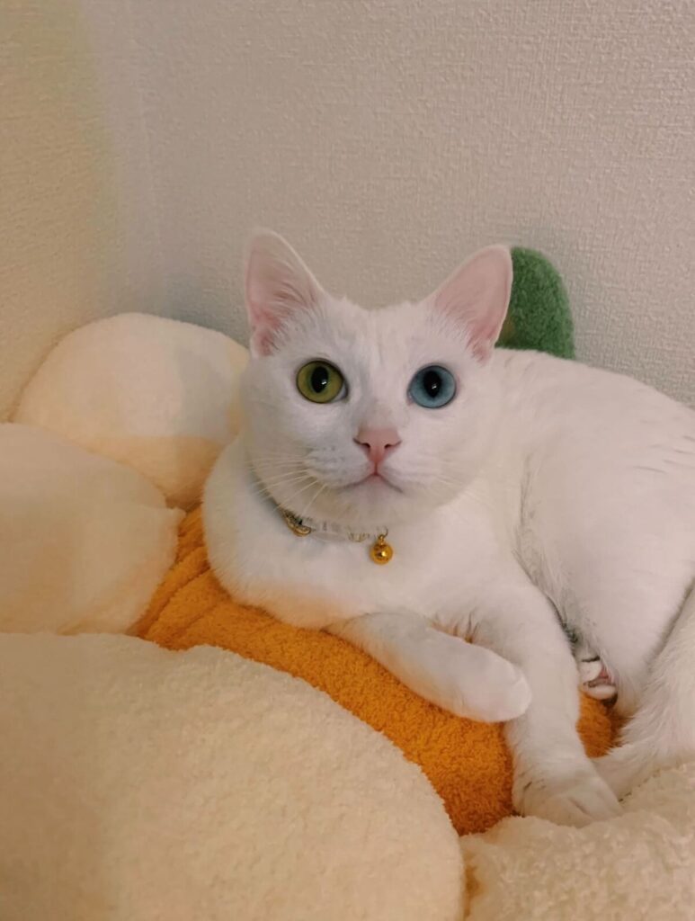 普段の様子②（@25_138_9さんより提供）