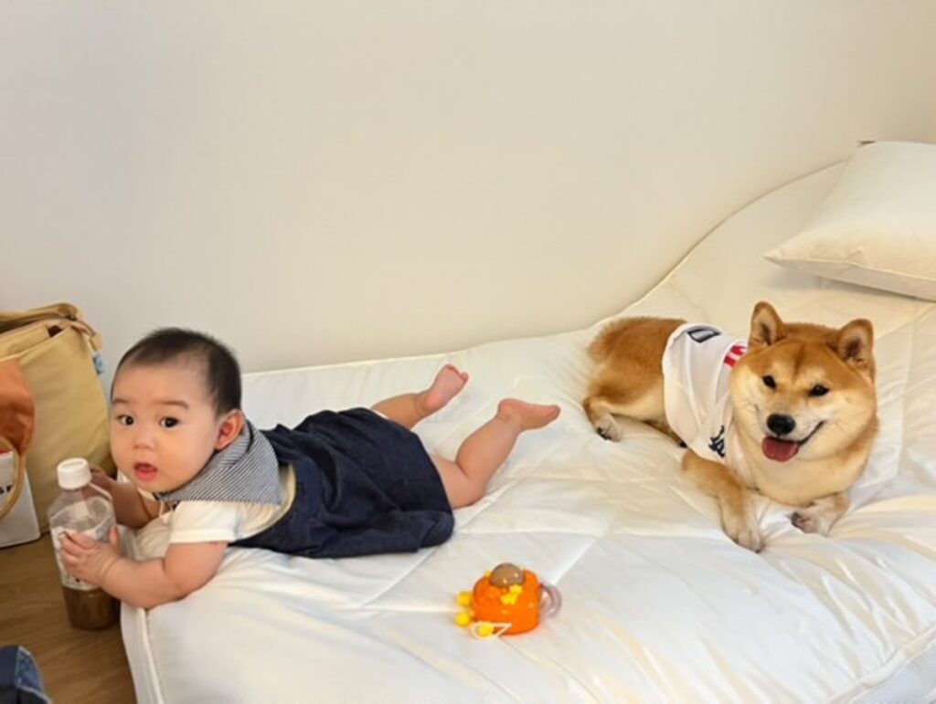 【実際の写真】隣をよく見ると