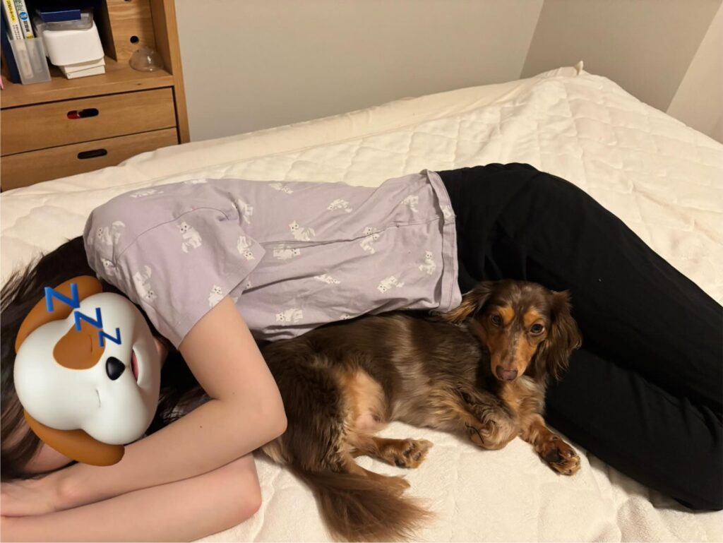 【実際の写真6枚】　周りの様子