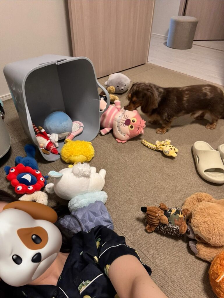 ぬいぐるみを出すちょこまろくん（＠cayanooonさんより提供）