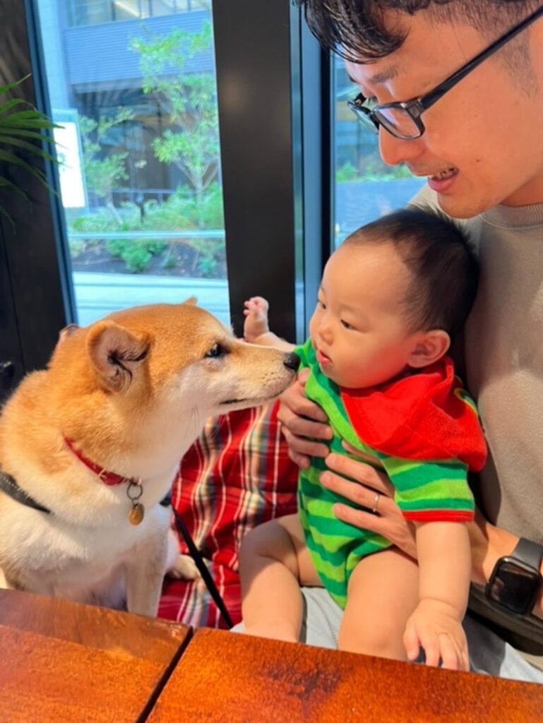 普段のふたりの様子①（@shibainu_amemaruさんより提供）