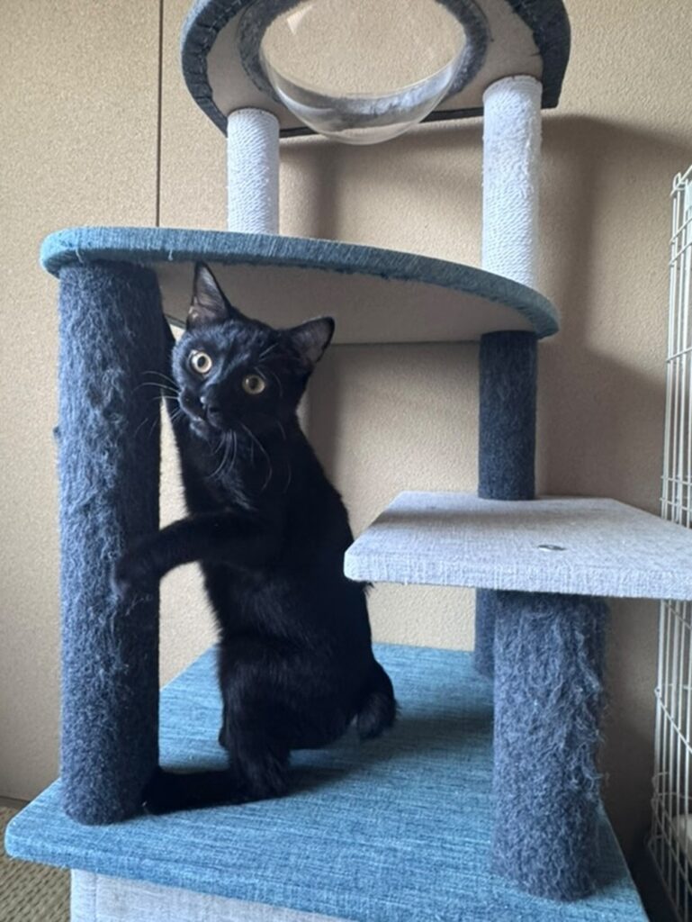 uniくん（@i.nozomi__00さんより提供）