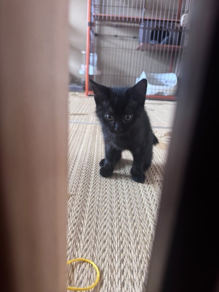 フワフワで可愛さ倍増です（@i.nozomi__00さんより提供）