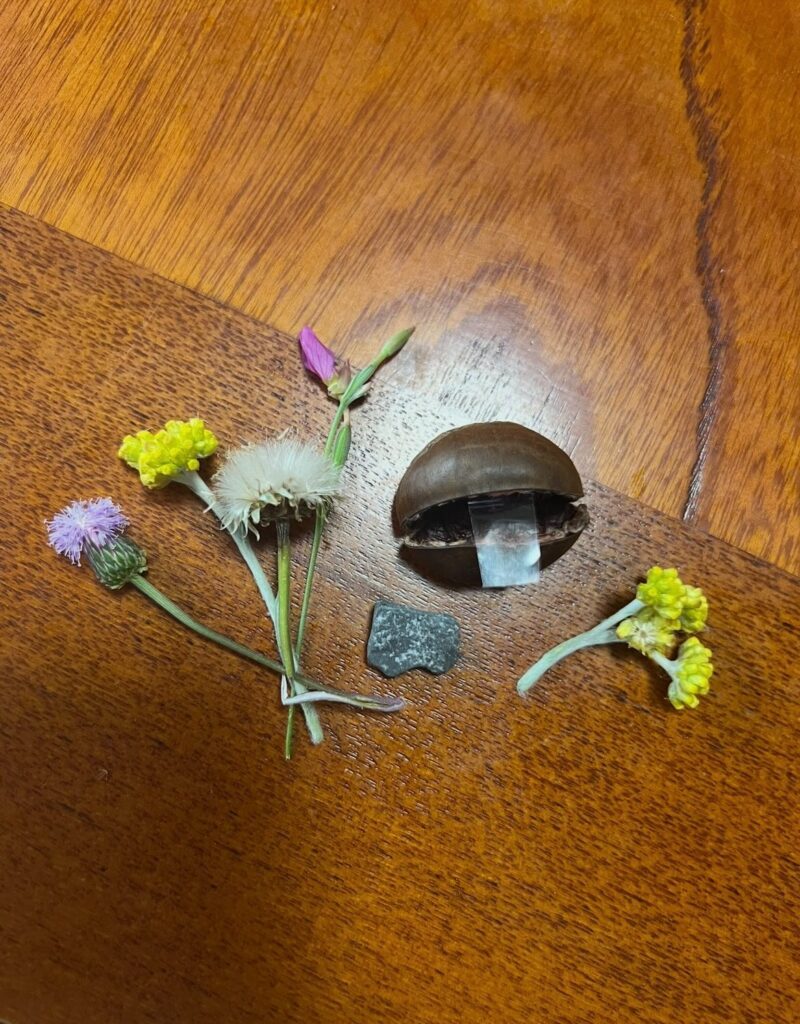 これまでの母の日にもらったプレゼント①（＠jelly_be.6さんより提供）