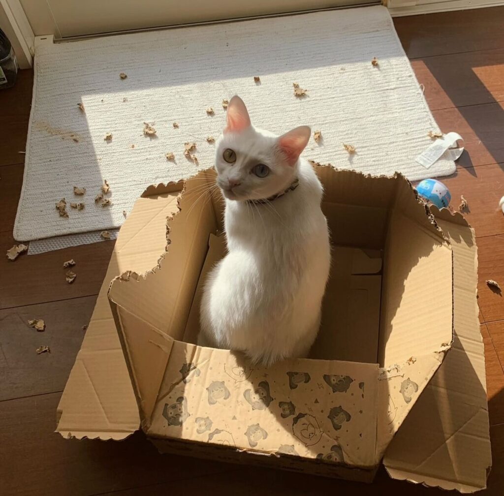 【実際の写真】投稿者さんが見た光景