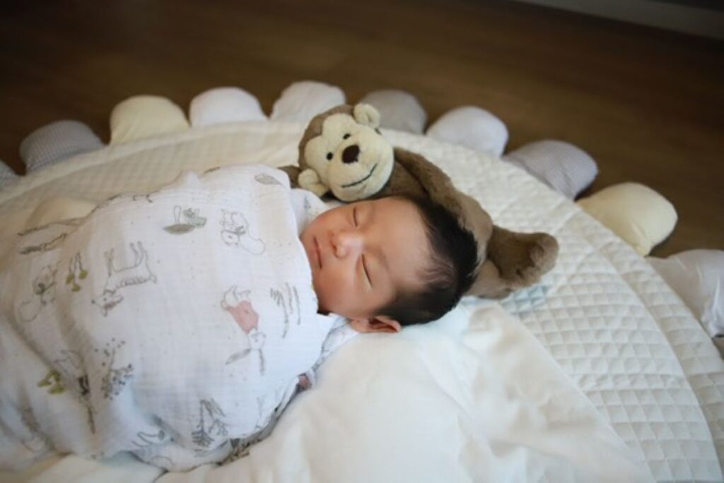 【写真】4年後の姿