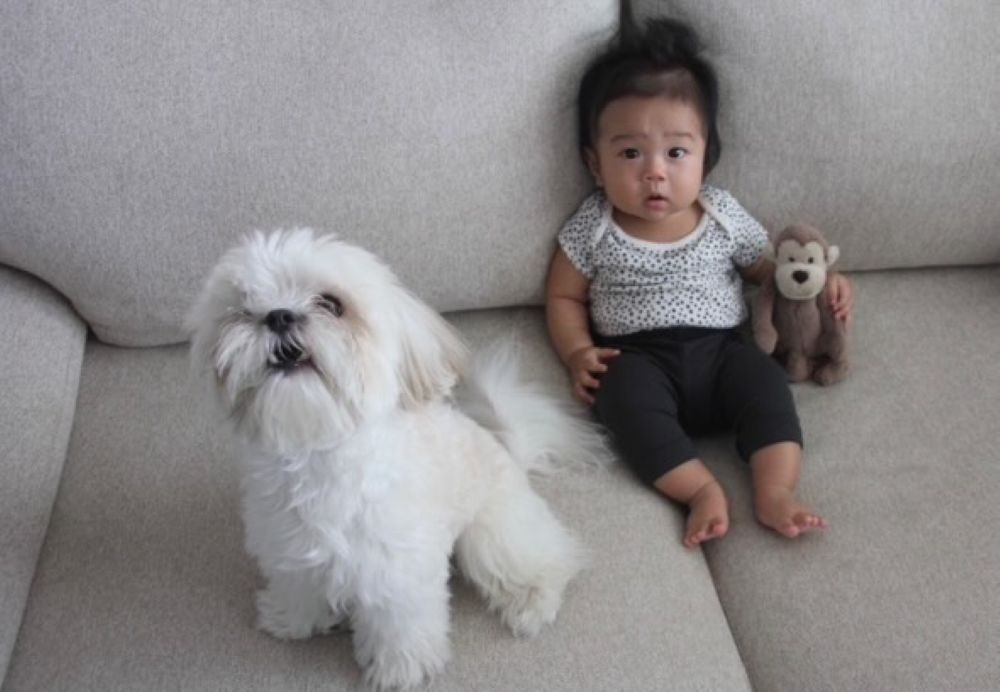 息子さんとイヴくん④（＠hina_665_さんより提供）