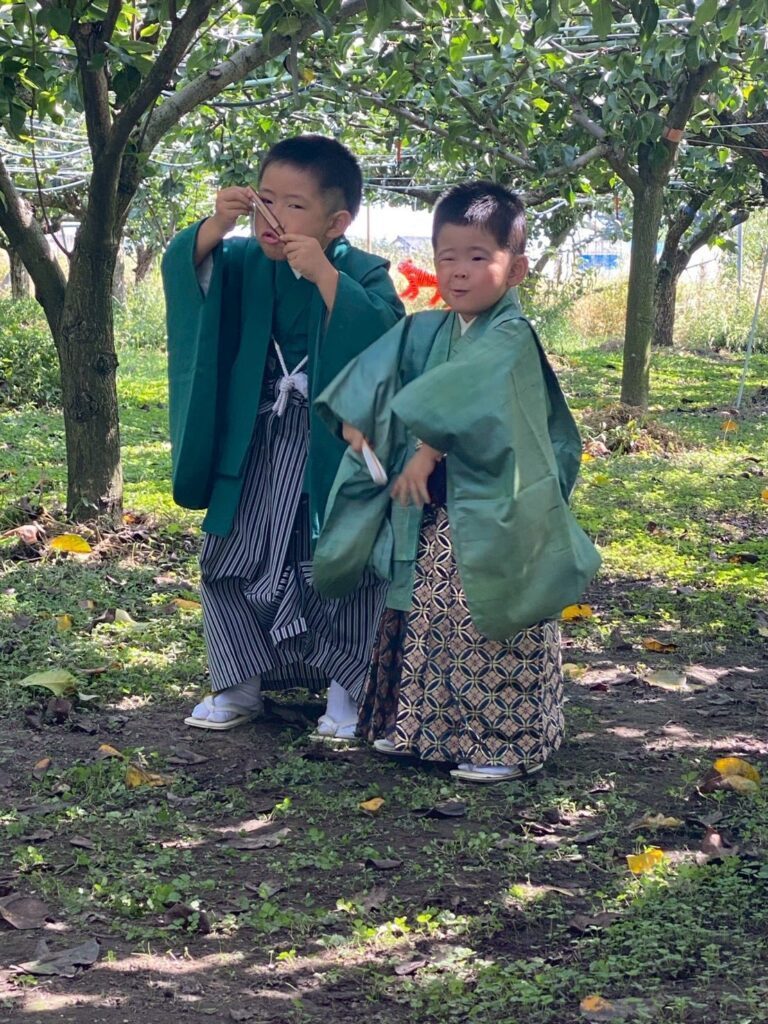 【実際の写真5枚】　母が見た光景