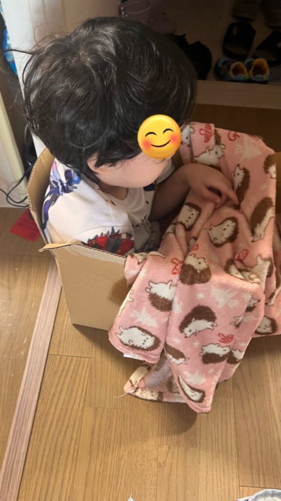 ダンボールに入って遊ぶ様子（＠hiroyuki9414さんより提供）
