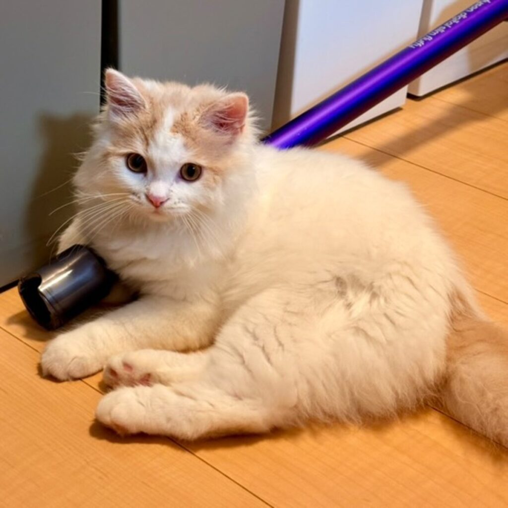 つなくん②（@mirin_tsunaさんより提供）