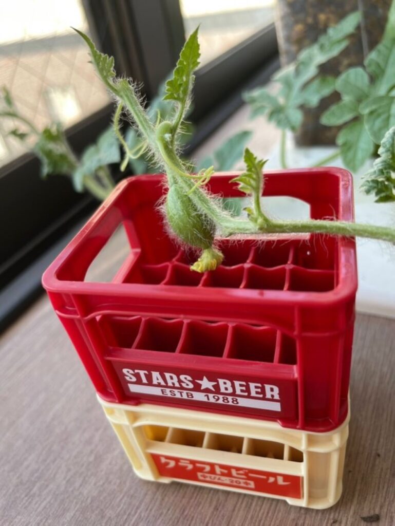 【実際の写真】まさかの中身