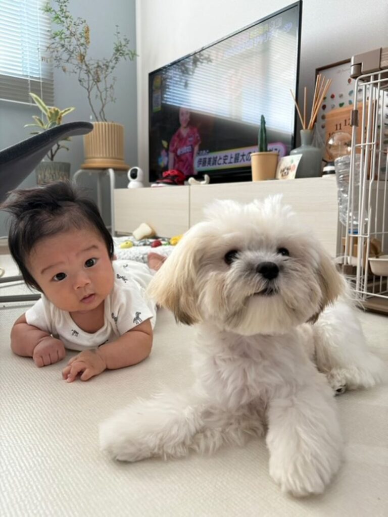 【実際の写真】ママさんが見た光景