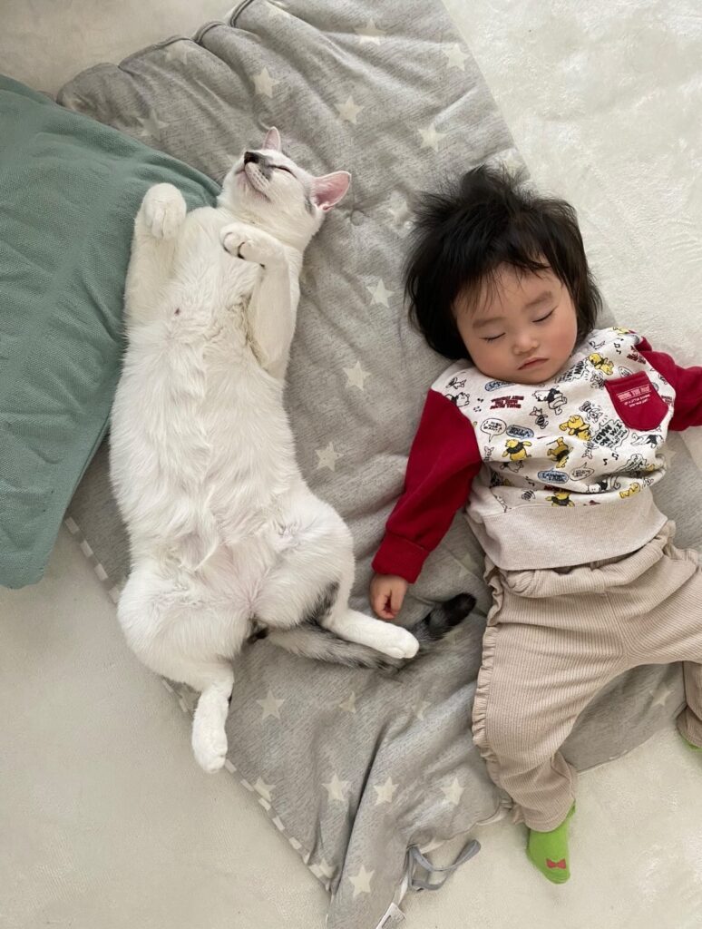 普段の様子②（＠hota_ieさんより提供）