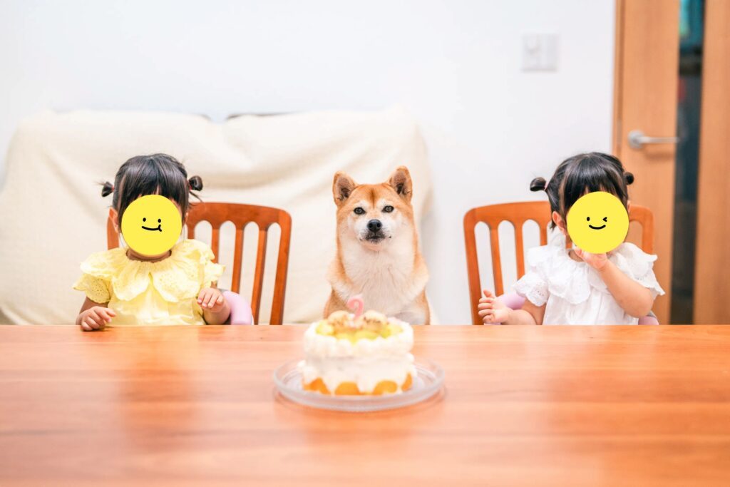 双子の娘さんの誕生日に…？（＠shiba_mugistaさんより提供）