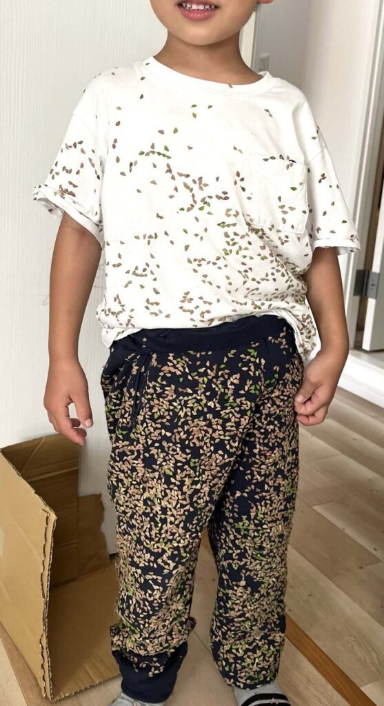 全身くっつき虫だらけ（投稿者さんより提供）