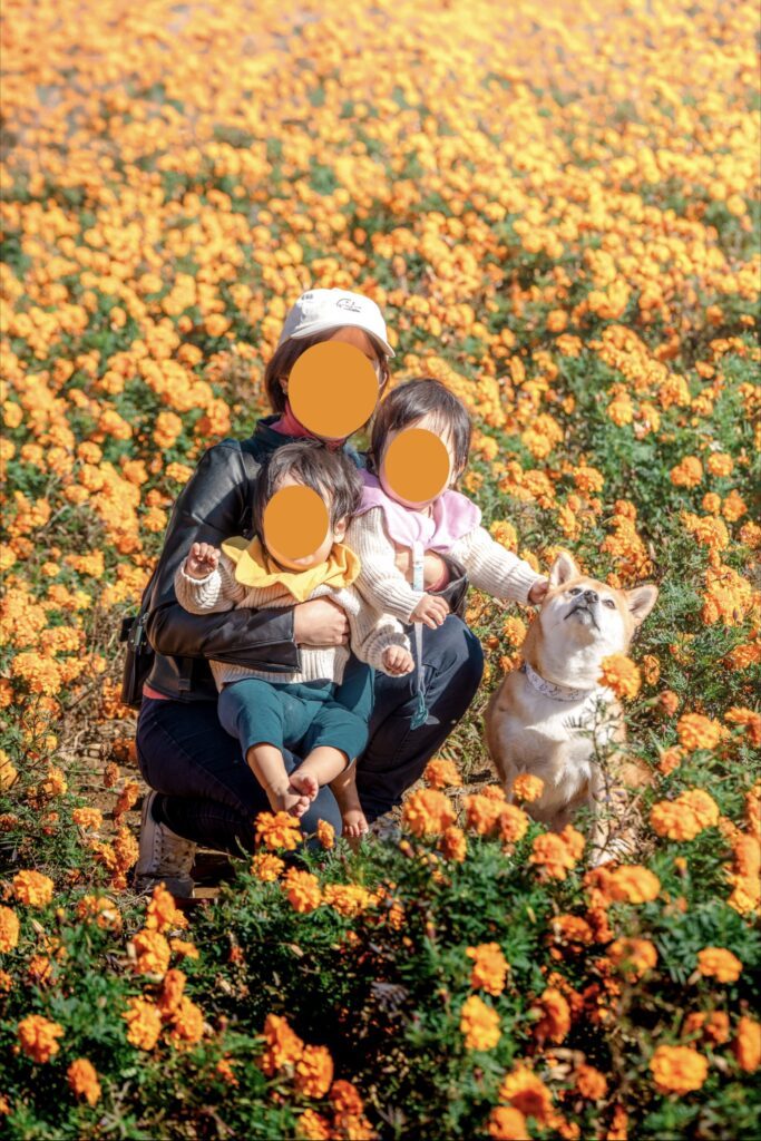 【実際の写真】まさかの光景