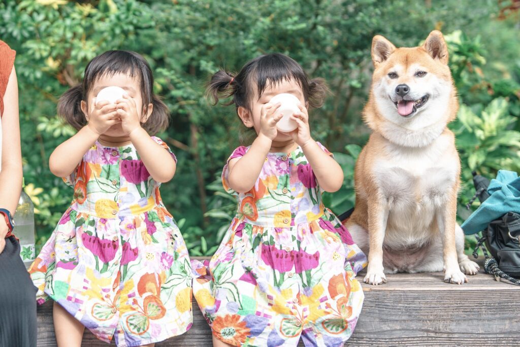 むぎちゃんとお出掛け（＠shiba_mugistaさんより提供）