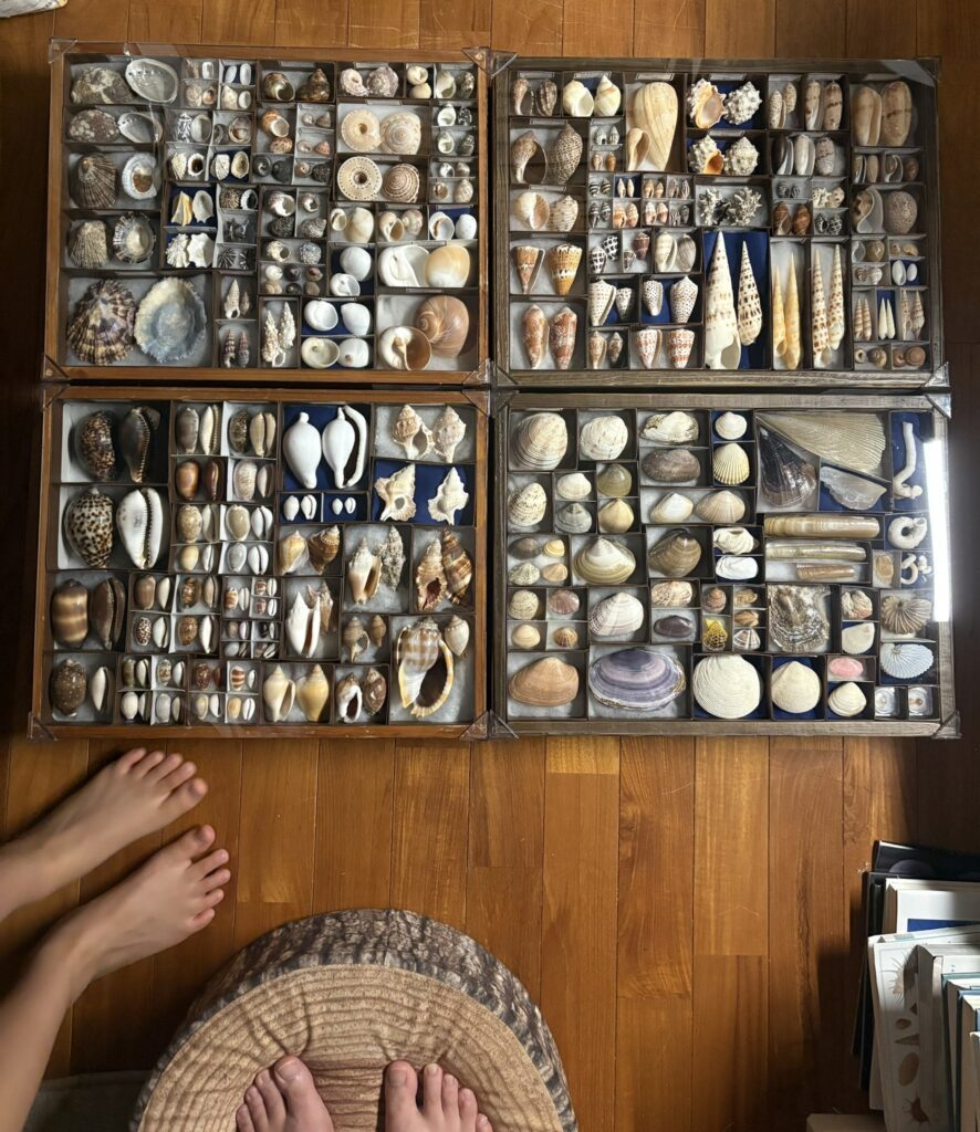 完成した自由研究（＠UIVsaYe6gyFqNKjさんより提供）