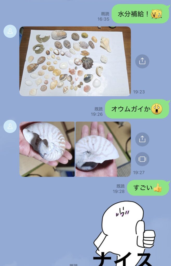 【実際の写真④枚】　小5娘の自由研究