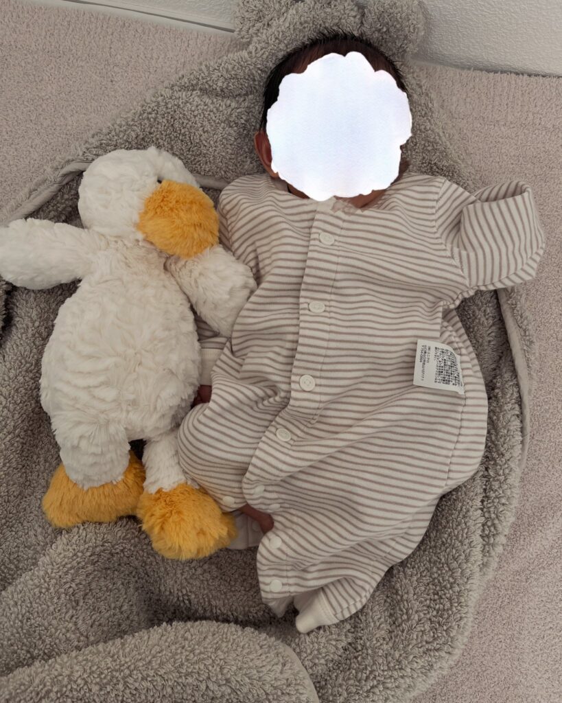 【実際の写真】　届いたときの様子