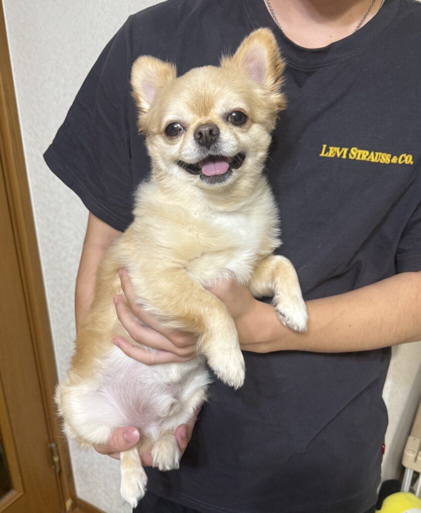 弟さんの抱っこ（＠731tenさんより提供）