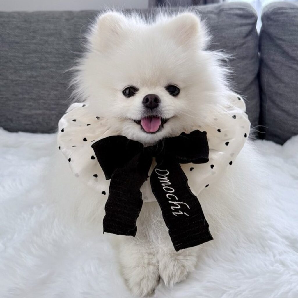 【実際の写真5枚】　投稿者さんが見た光景