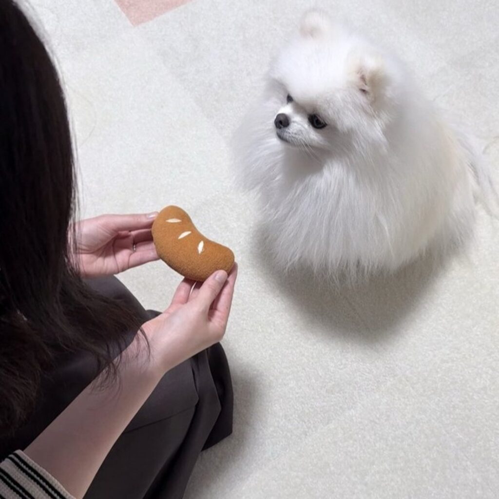 大事なパンをお返しします…（@omochi_pome16さんより提供）