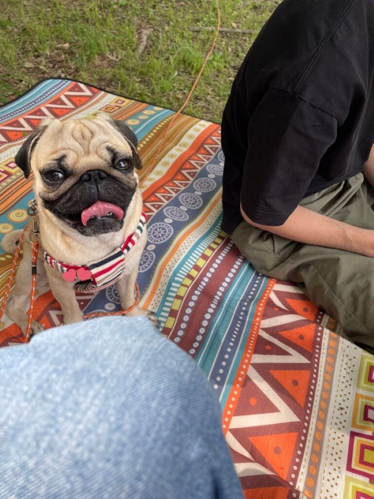 ピクニックに来た様子（＠3mO1vmCNYtEPcWwさんより提供）