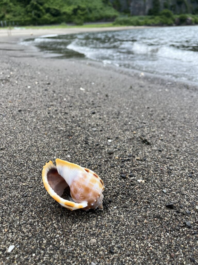 海にて（＠UIVsaYe6gyFqNKjさんより提供）