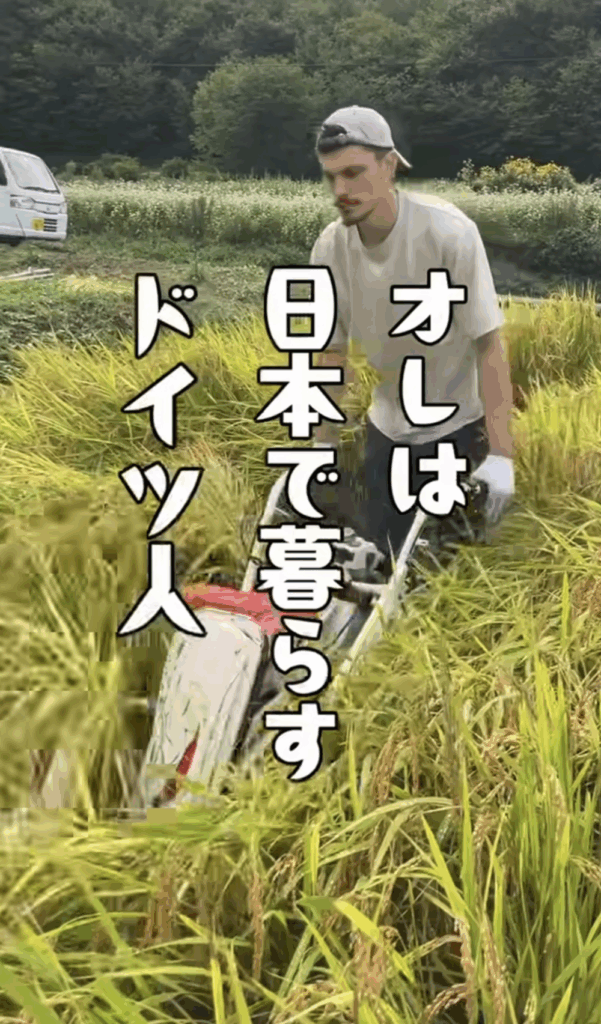 稲刈りをする投稿者さん（@jannipponさんより提供）