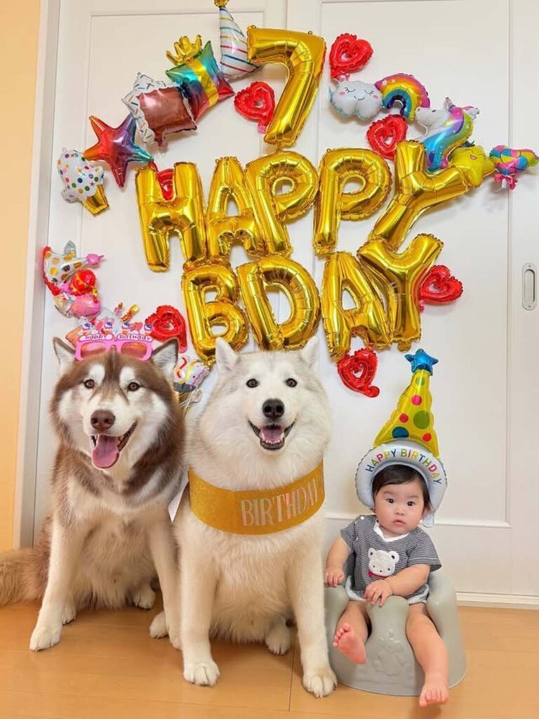 【実際の写真5枚】母が見た光景