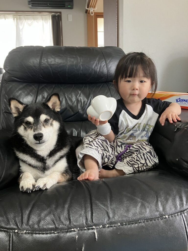 【実際の写真7枚】　ママが見た光景
