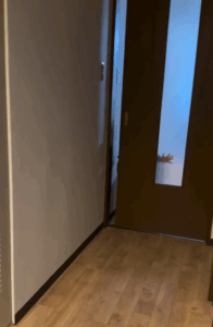 パパの帰りを待つ3歳息子　パパ「2秒で疲れ取れるわ」息子の行動に…「純粋」「可愛い」「とても癒される」