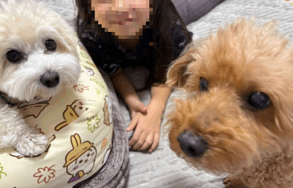 【実際の写真5枚】　ママが見た光景