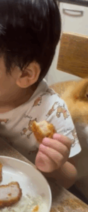 ご飯をたべる3歳の息子。しかし背後をよく見ると…「かわいい」「よ、よし取れる！って表情」